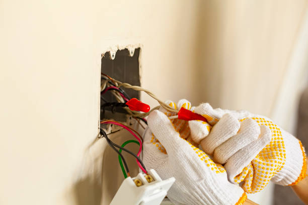 Best Electrical Panel Upgrades  in Rosharon, TX